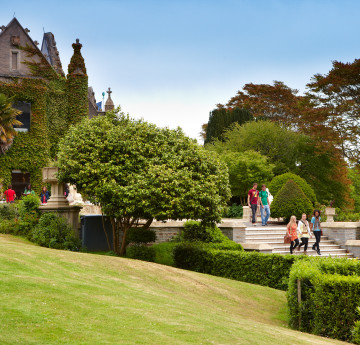 The Abbey, Singleton Park.