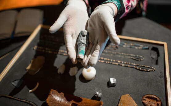 image of archivist holding Egyptian artefacts