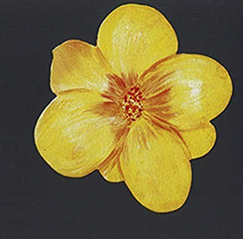 a flower