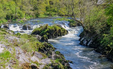 Picture of the river Teifi showing a flowing water current surrounded by lush green landscape