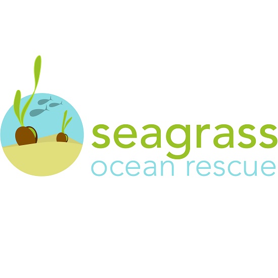 Seagrass