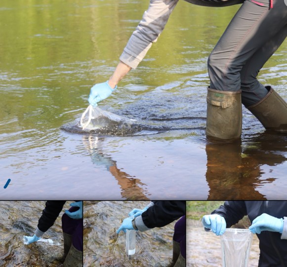 Collecting e DNA from water sample 