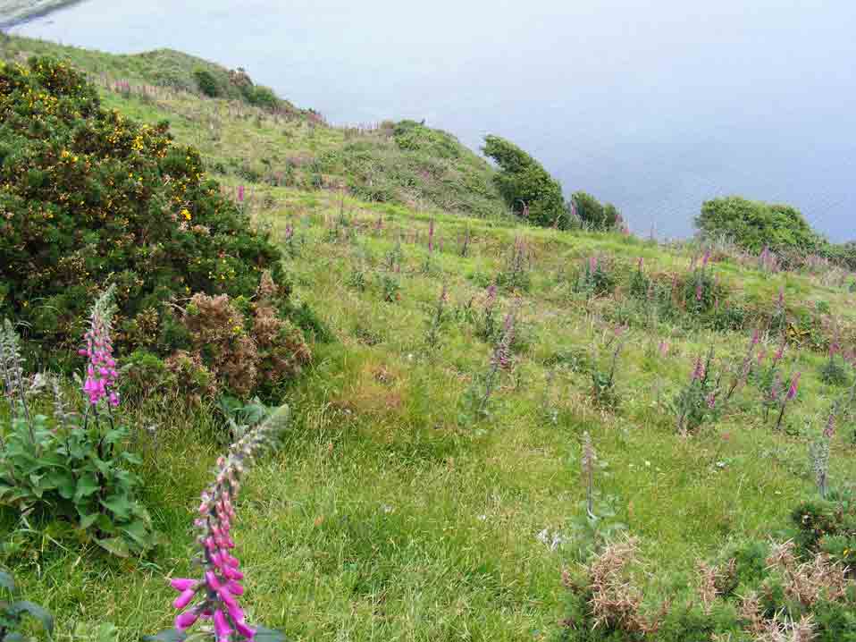 Cliff route between Aberdaron Bay and Fisherman's Cove