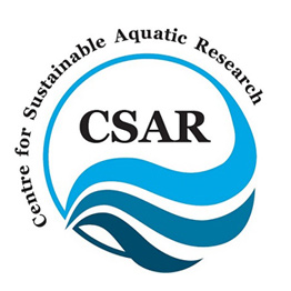 CSAR logo