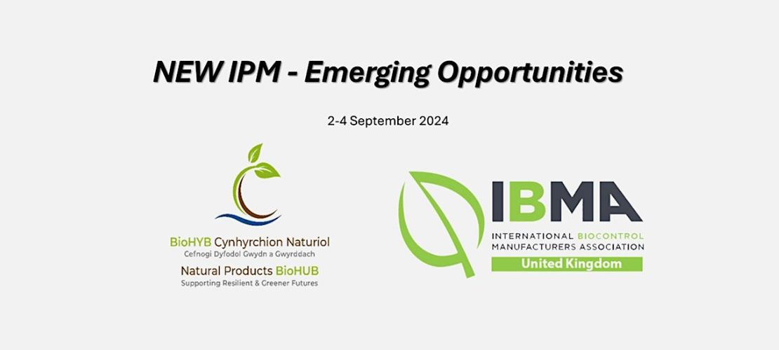 New IPM 2024 Banner