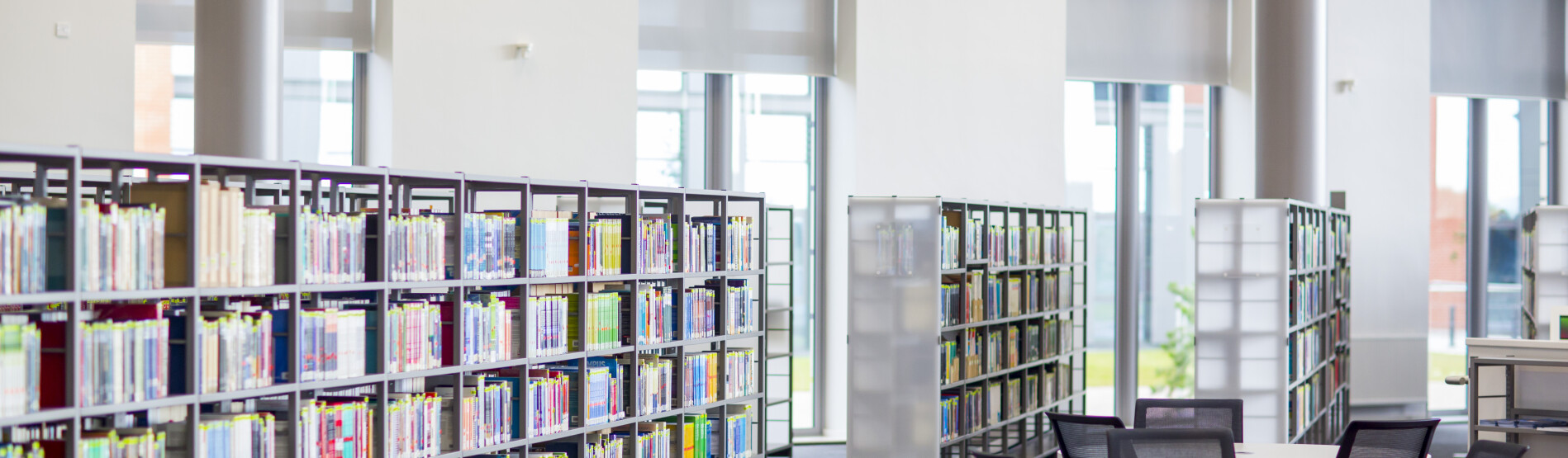 bookshelves in the library 