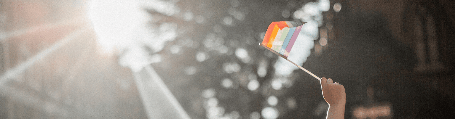 Young person waving a flag