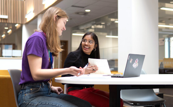 Two students sitting at a desk with a laptop