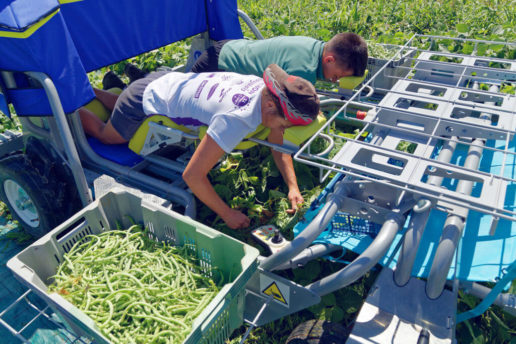 Cobot in use on farm