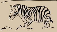 Think Zebra