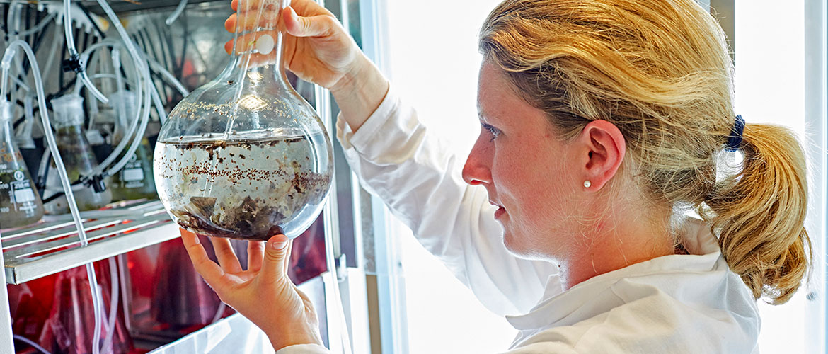 Bioscience student looking at Algae