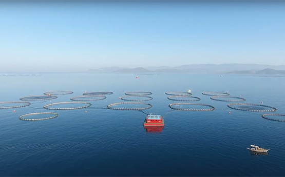 Fish farms and boats on the ocean