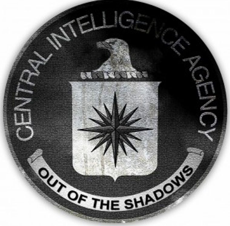 Out of the Shadows Project logo 