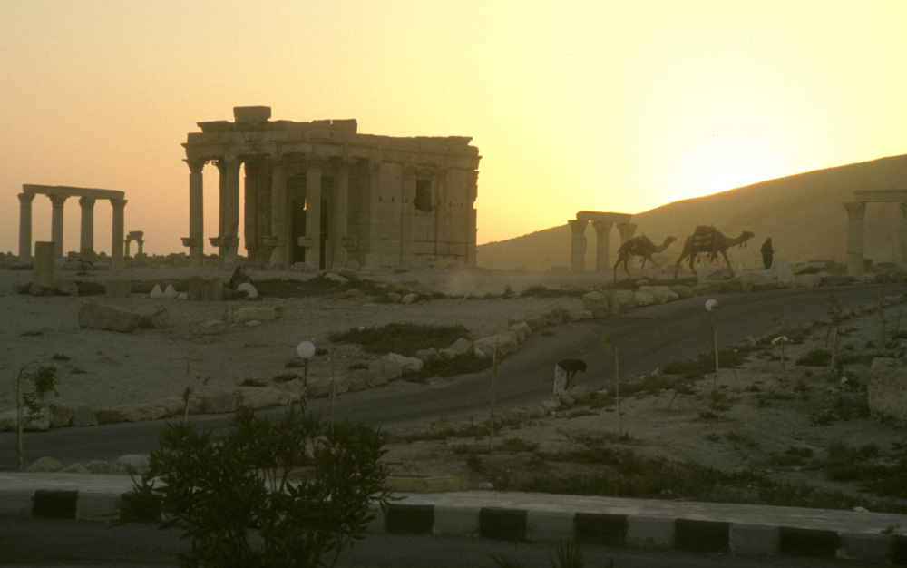 Sunset at Palmyra