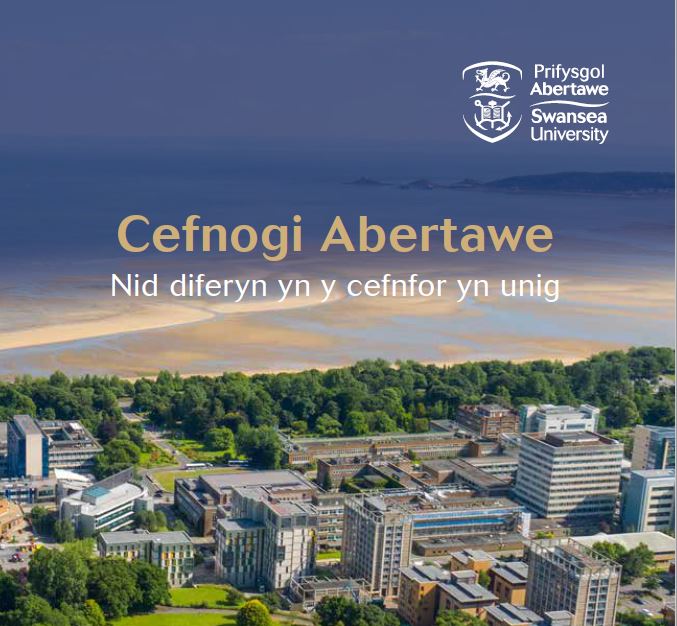 Darlun o glawr Adroddiad Rhoddwyr 2021. | Cefnogi Abertawe.