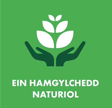 Eicon yn darlunio ein hamgylchedd naturiol - dwylo yn dal blodyn gwyn yn erbyn cefndir gwyrdd golau.