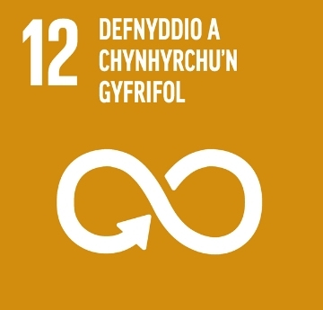 Nod Datblygu'r Cenhedloedd Unedig - Defnyddio a Chynhyrchu’n Gyfrifol