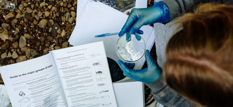 student scientist looking at field equipment