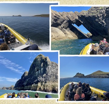 Montage of coasteering images