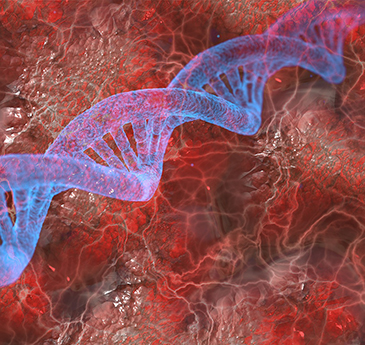 dna structure 