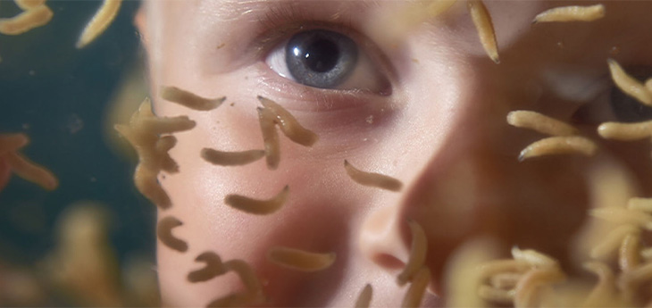 Child looking at maggots 