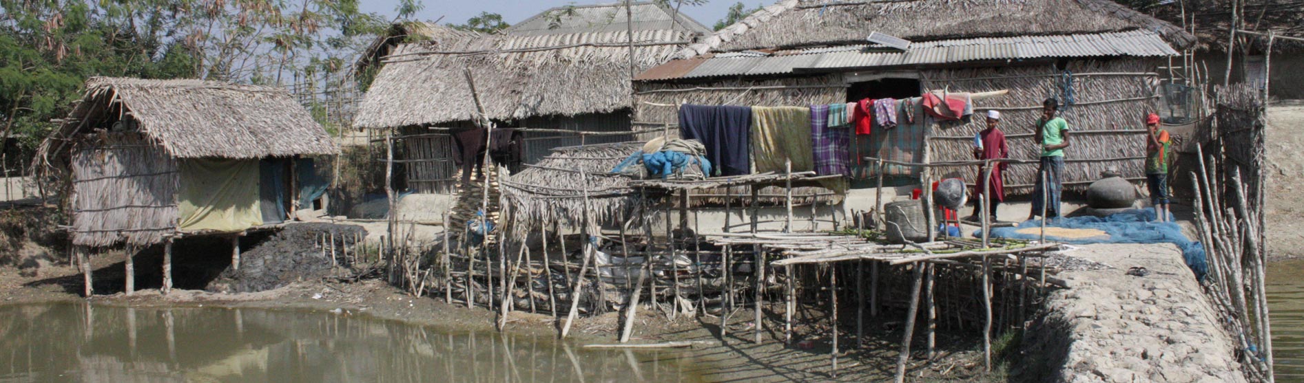 Shrimp farming, Bangladesh