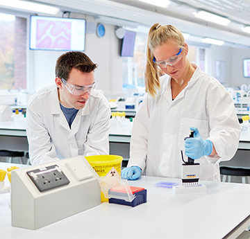 Students in lab