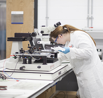 Postgraduate student using microscope