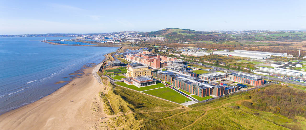 Bay Campus overview