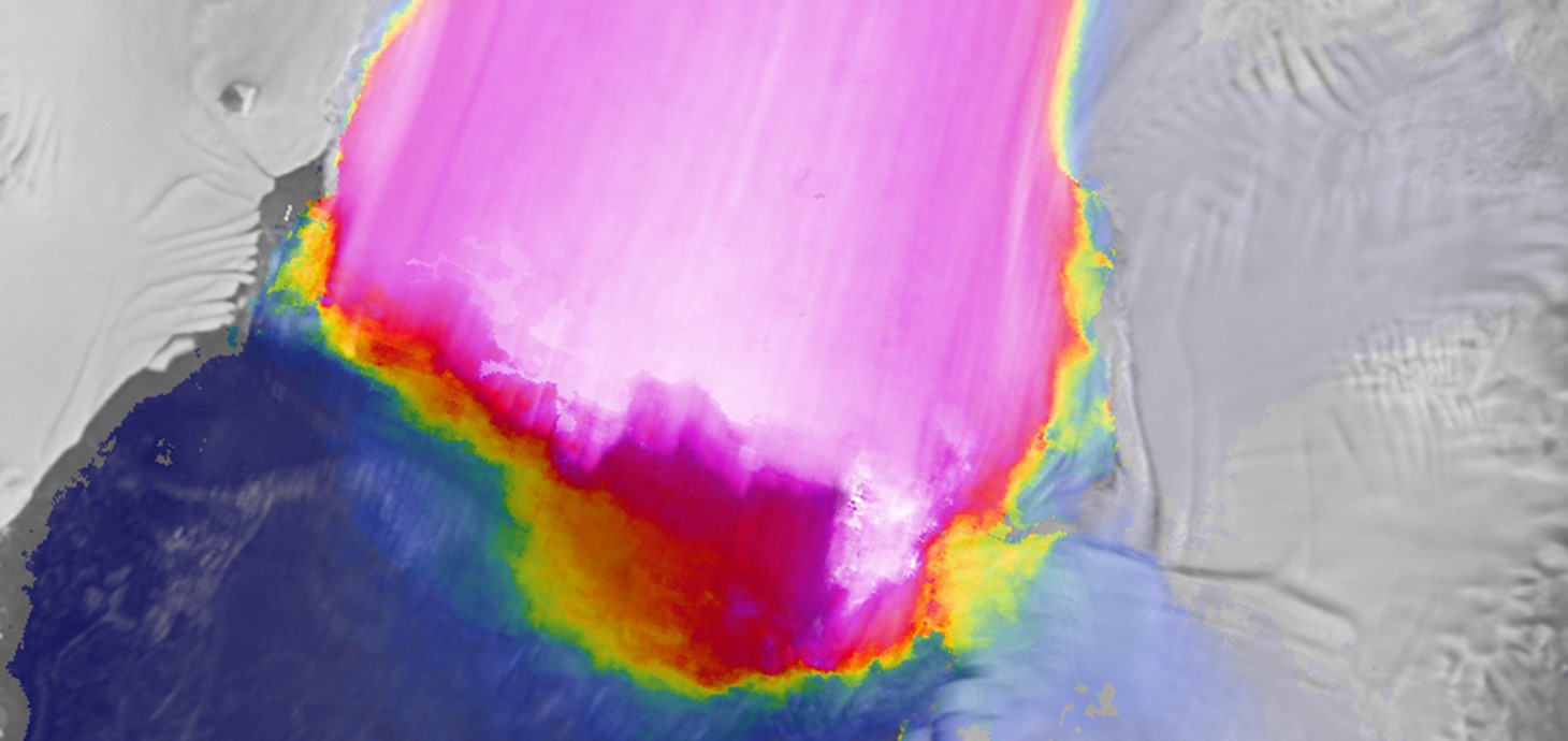 Delwedd loeren o Rewlif Pine Island, sy'n gyfrifol am chwarter y golled iâ o Antarctica.Lle mae'n cwrdd â'r cefnfor, mae'r tafod iâ'n 30km o led ac yn llifo dros 15 metr y dydd (lliwiau pinc i wyn).