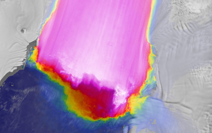 Delwedd loeren o Rewlif Pine Island, sy'n gyfrifol am chwarter y golled iâ o Antarctica.Lle mae'n cwrdd â'r cefnfor, mae'r tafod iâ'n 30km o led ac yn llifo dros 15 metr y dydd (lliwiau pinc i wyn).