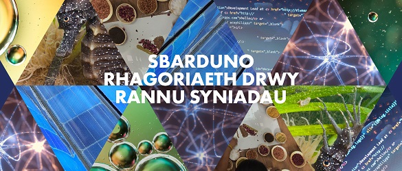 7 llun sy’n gynrychioli pob uchafbwynt ymchwil ym Mhrifysgol Abertawe Llun o gweithfeydd copr Hafod Llun o Google yn India Llun o offer labordy Llun o tan gwyllt Llun o fasg ar gliniadur Llun o fraich roboteg Kuma Llun o berson yn gwisgo masg gyda gwreichion dur 