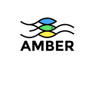 Amber logo