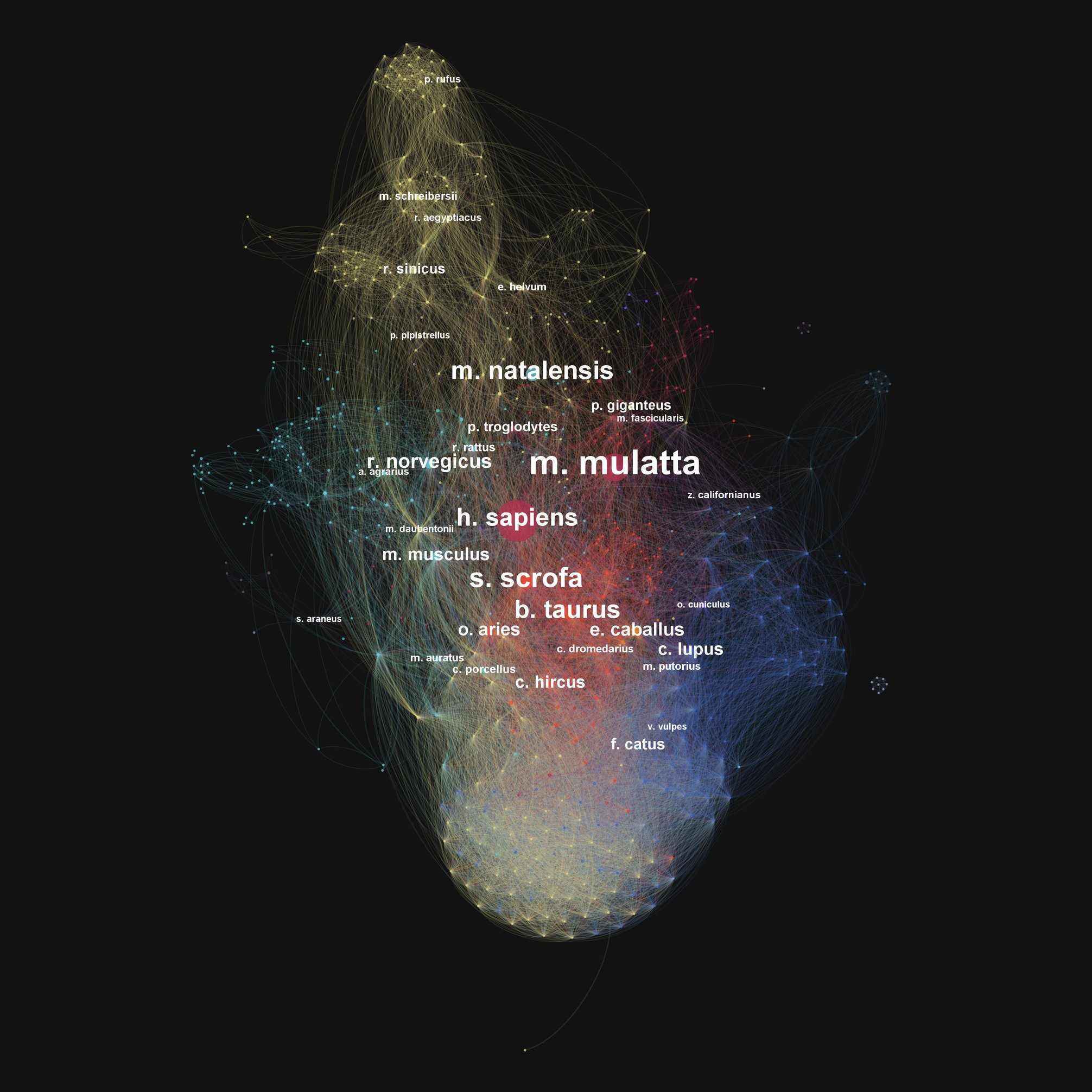 computer generated image of network of shared viruses