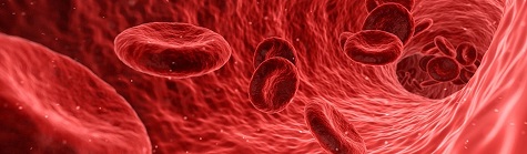 blood cells