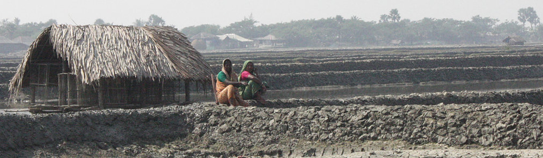 Shrimp farm, Bangladesh