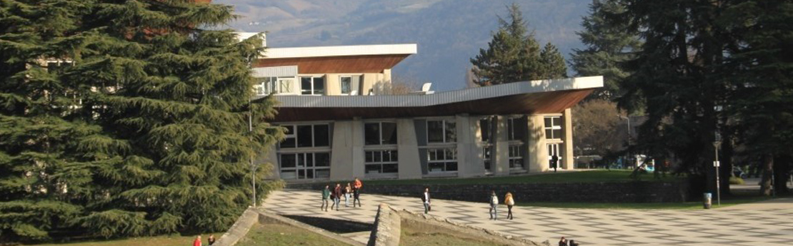 Students walking through mall