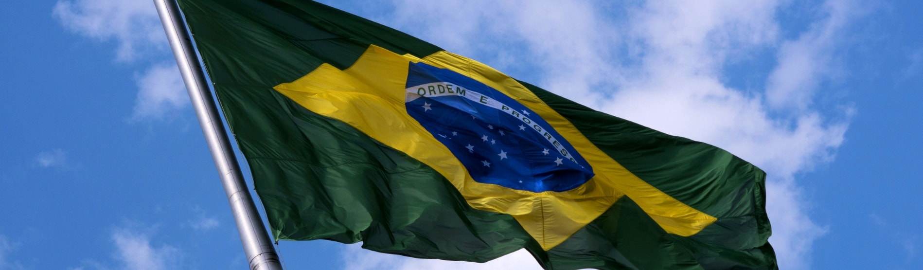 Brazilian Flag