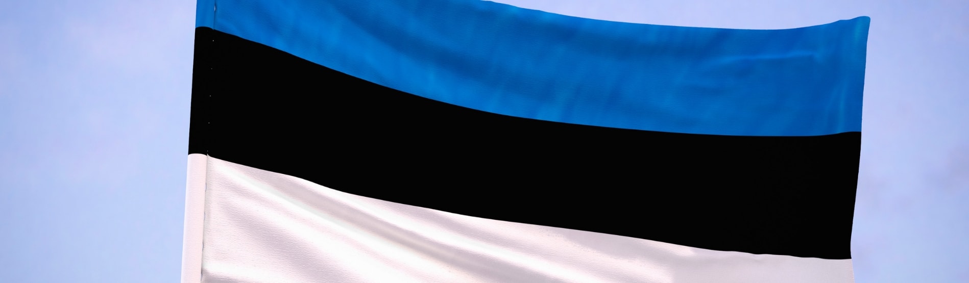 Estonian Flag