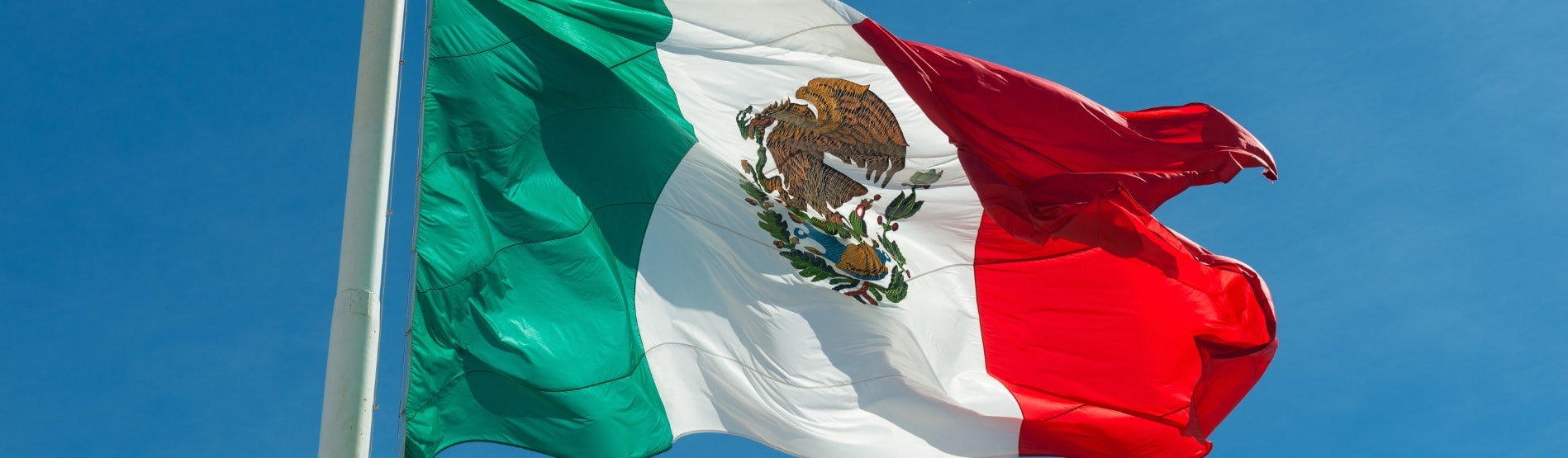 Mexican Flag