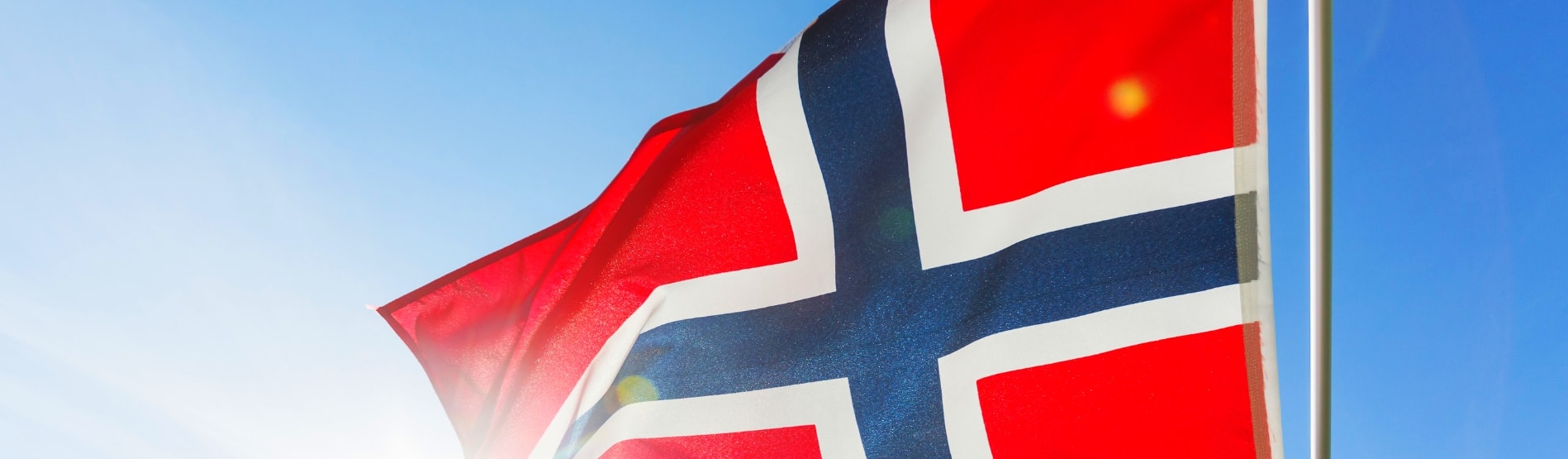 Norwegian Flag