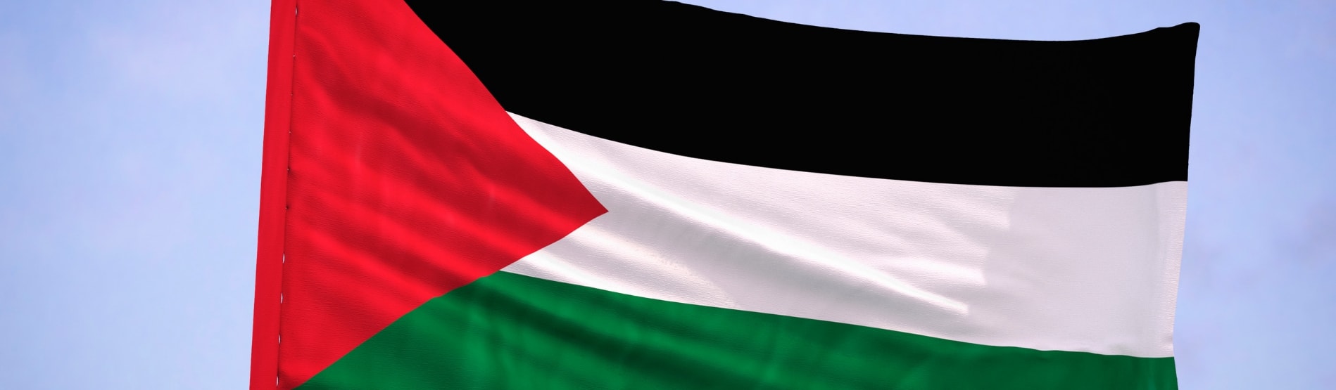 Palestine Flag