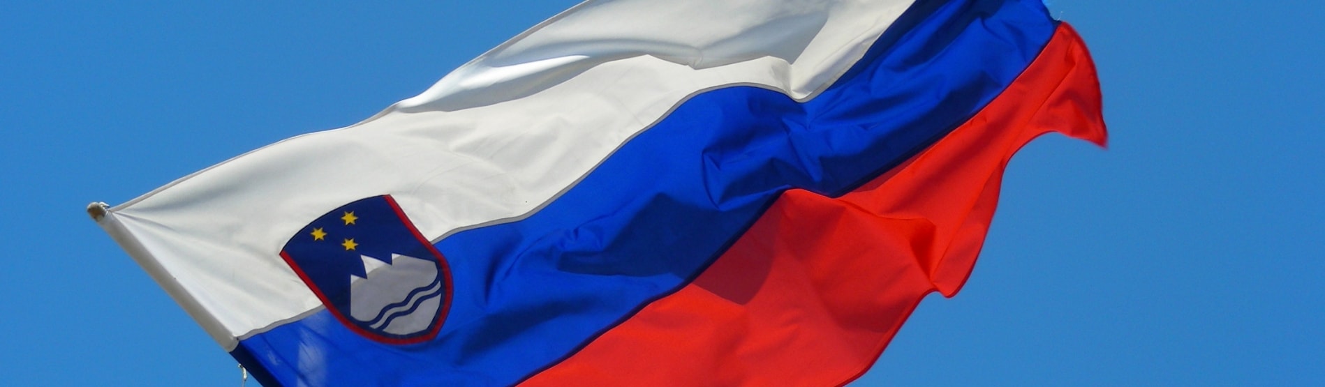 Slovenian Flag