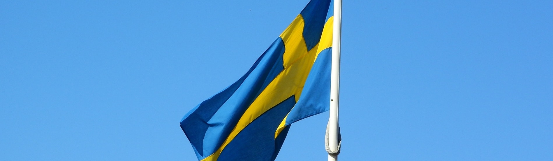 Swedish Flag