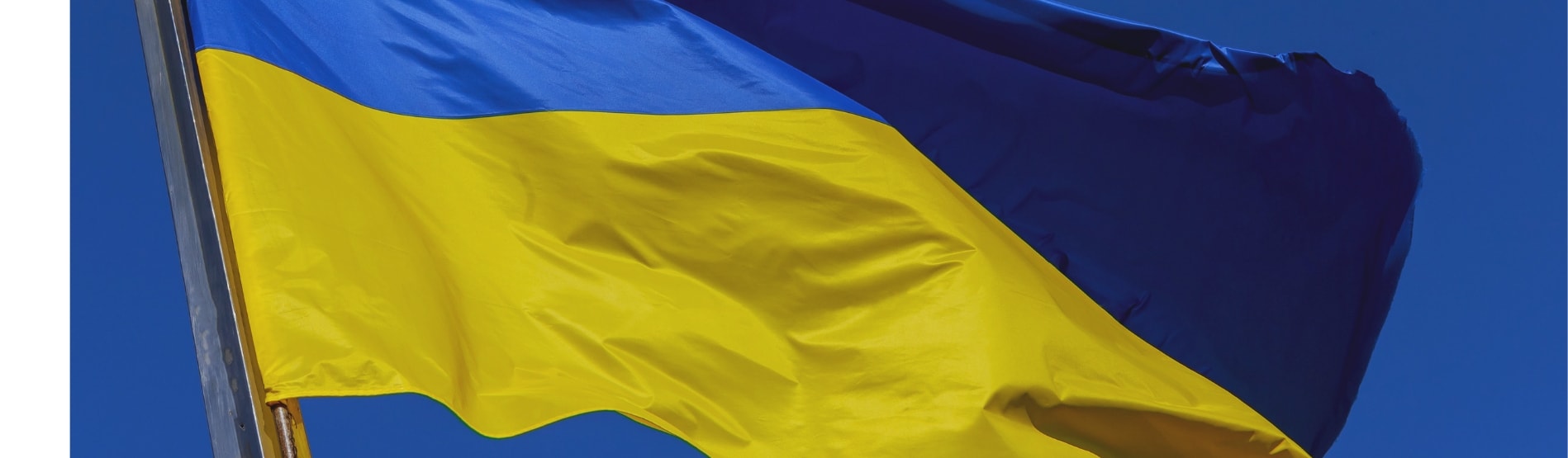 Ukrainian Flag