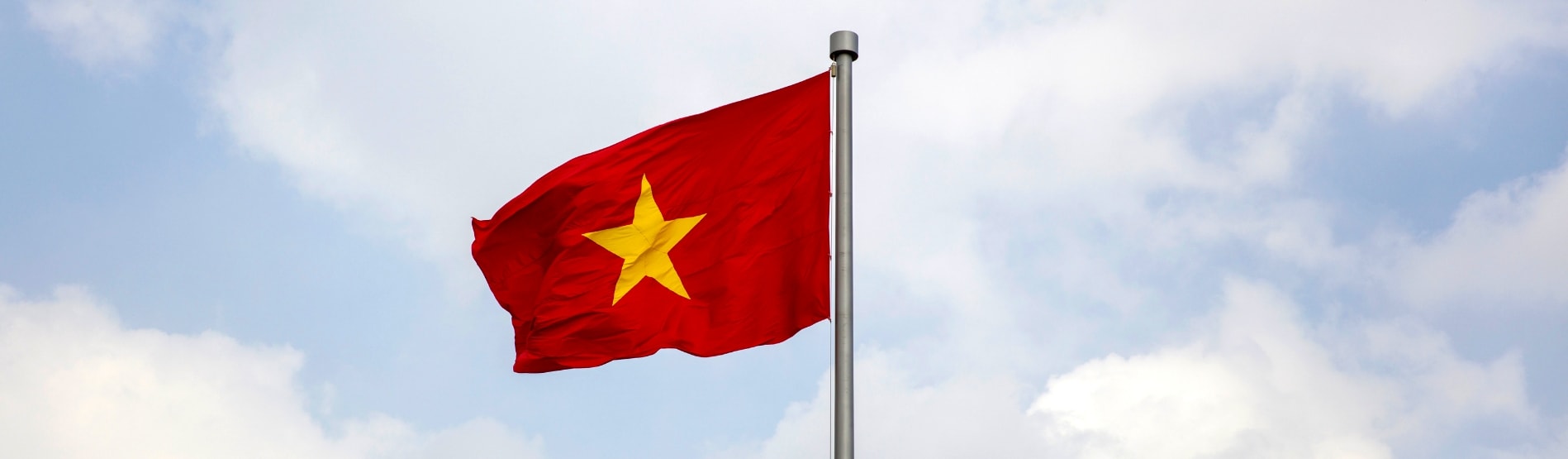 Vietnamese Flag