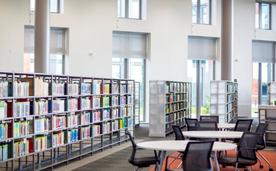 Rows of shelving containing books