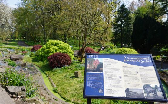 Botanical Gardens Singleton Park Campus