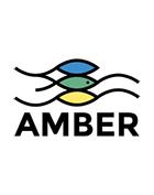 AMBER