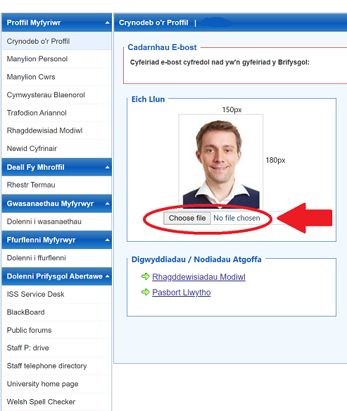 Sgrinlun o'r tudalen Proffil Myfyriwr gyda'r opsiwn Dewis Ffeil wedi'i dethol